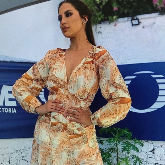janellehoga683